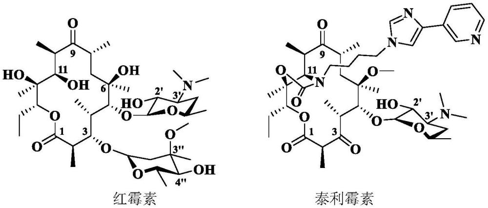 一种大环内酯-喹诺酮衍生物及其制备方法和应用