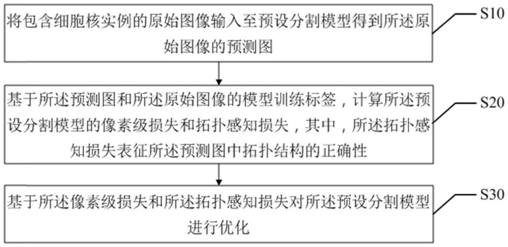 细胞核实例分割方法、装置、终端设备及存储介质