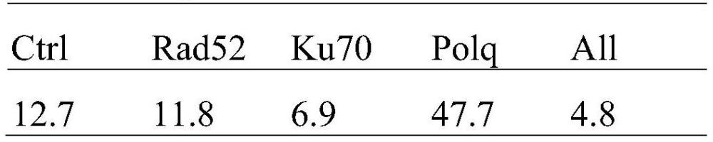 基因整合方法及应用