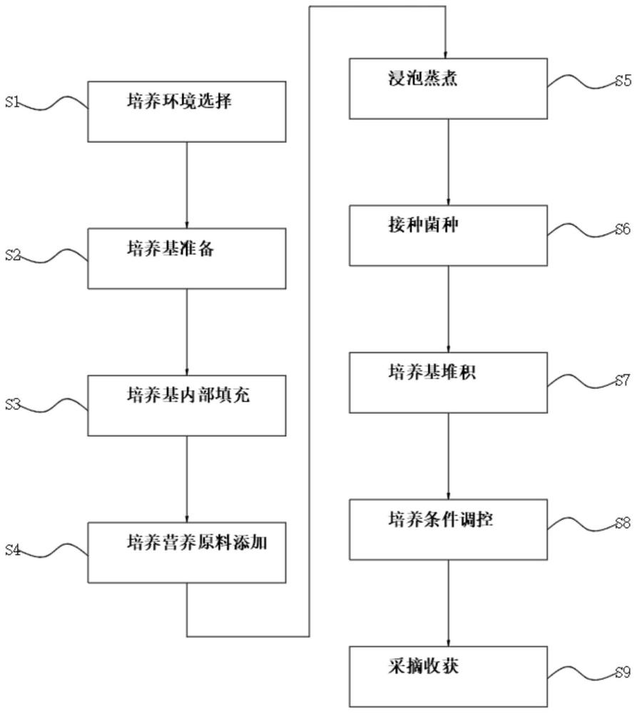 一种杏鲍菇无公害栽培方法与流程