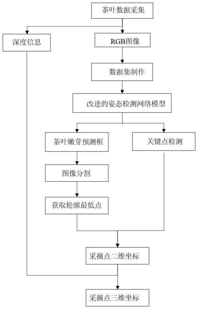 一种基于多信息融合的茶叶嫩梢采摘部位精准识别方法