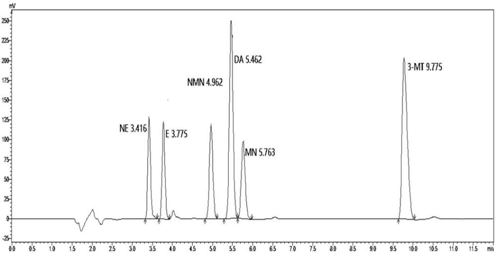 液相色谱电化学法高通量检测儿茶酚胺及其代谢物的方法与流程