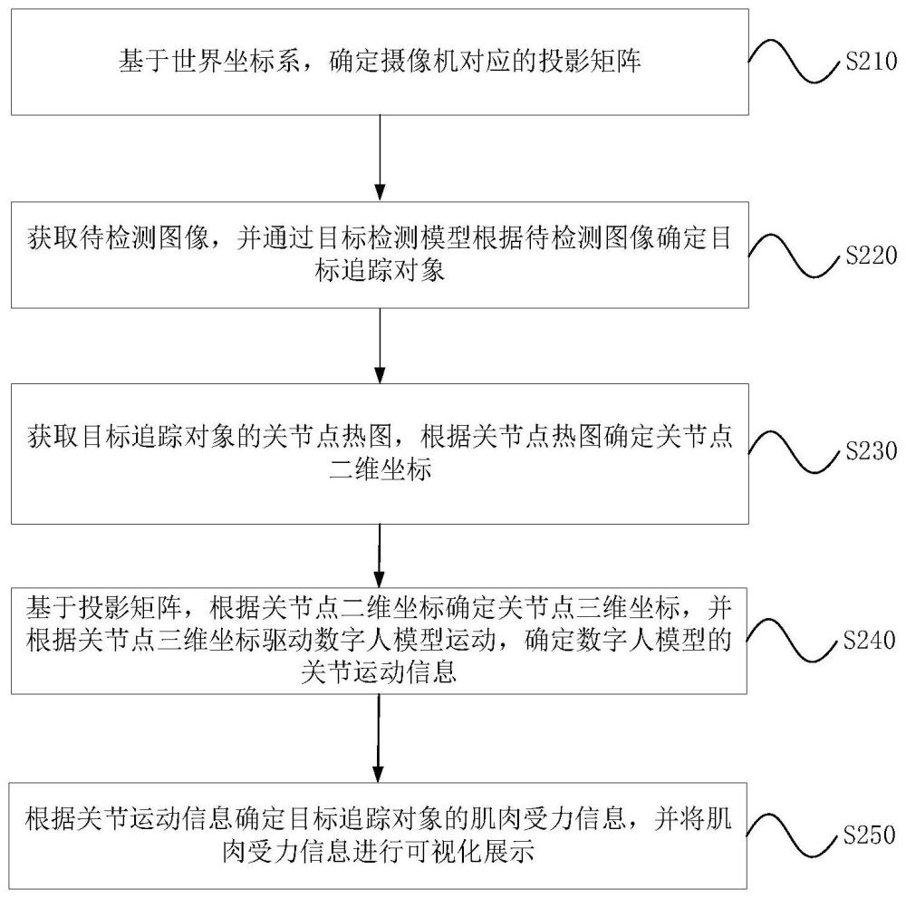 肌肉受力可视化方法、装置、计算机设备以及存储介质与流程