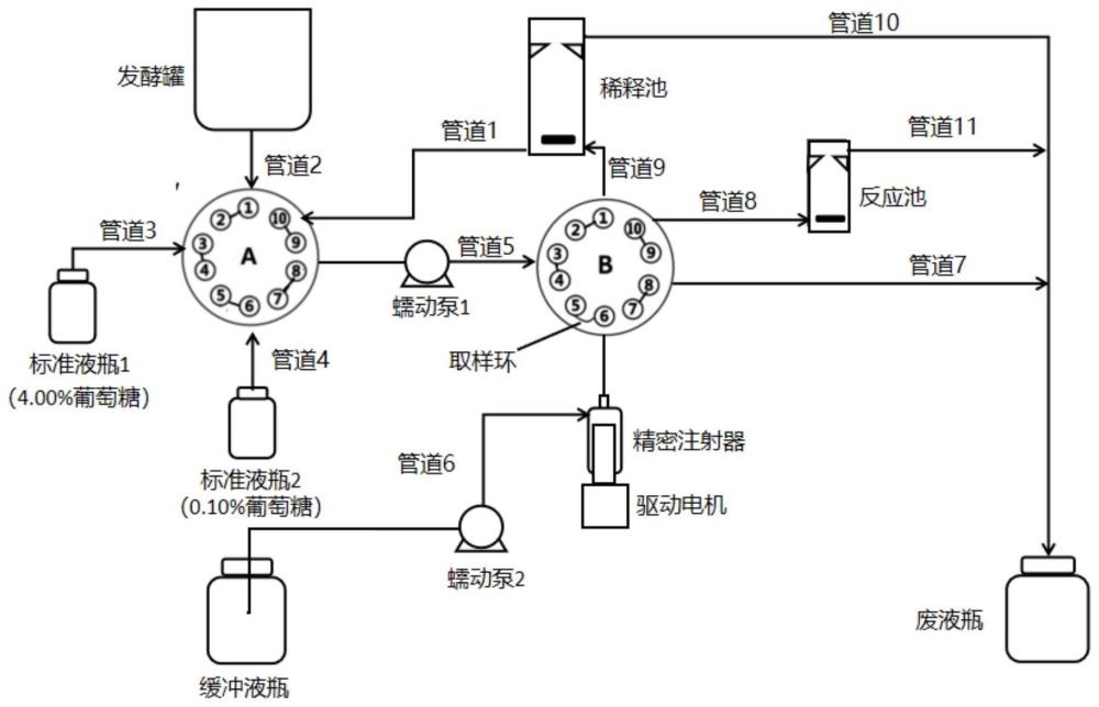 生物反应器酶电极在线检测的自动定标系统及方法与流程