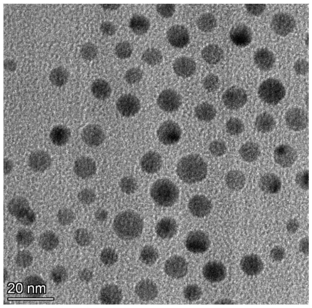 复合纳米颗粒及其制备方法和应用