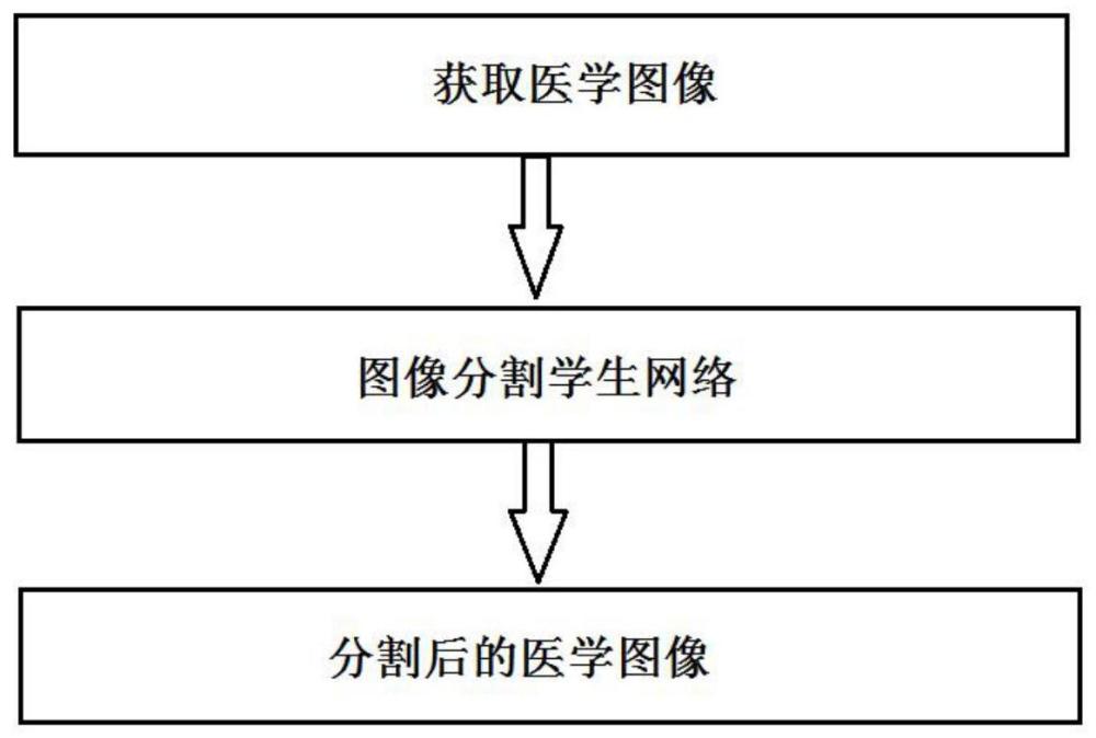 一种医学图像的偏差-方差分解分割方法