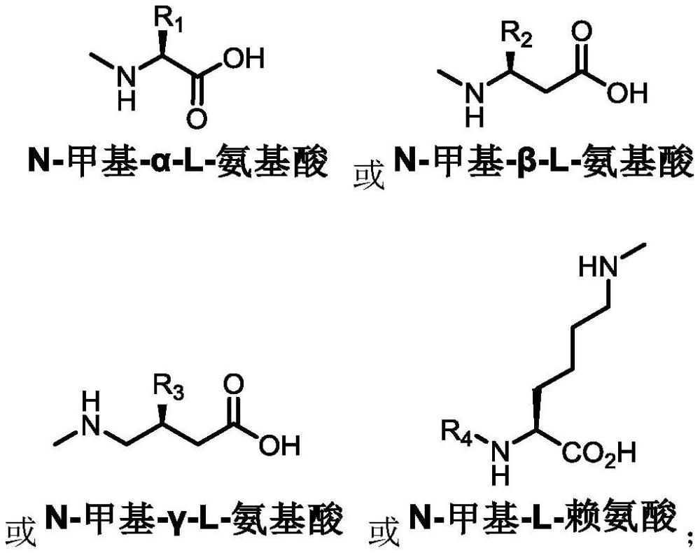 一种N-甲基氨基酸类化合物及其制备方法