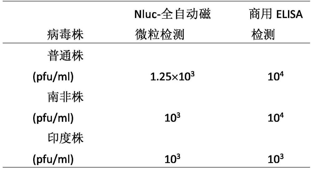 标记抗体与其相关生物材料及在新冠病毒检测中的应用