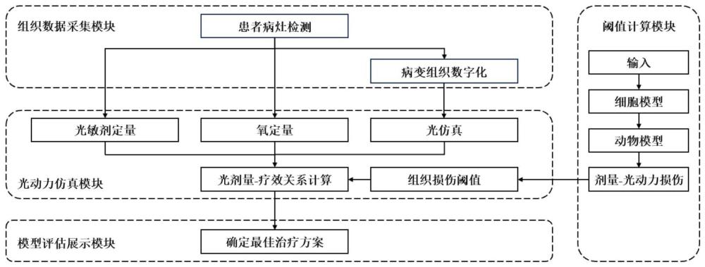 光动力个性化治疗剂量的仿真系统及其工作方法