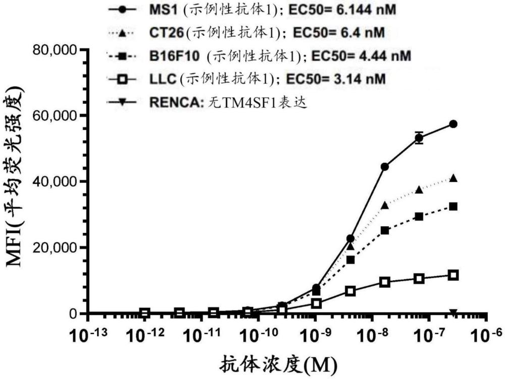 包含抗TM4SF1抗体和免疫治疗药剂的组合及其使用方法与流程