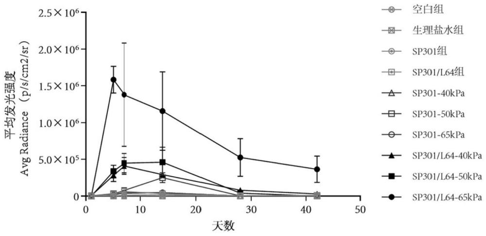 用于pluronic L64敏感性DNA裸质粒肌注高效稳定表达的系统