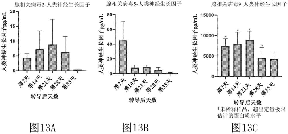 编码神经营养因子的腺相关病毒病毒颗粒和其用途的制作方法