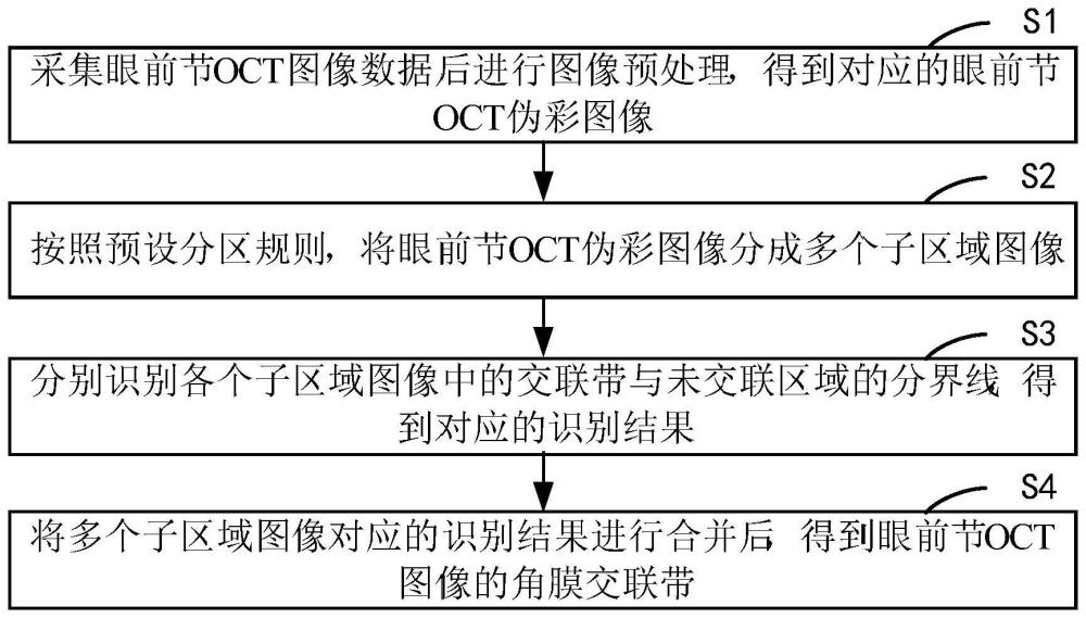 基于OCT图像的角膜交联带识别方法、系统、设备及介质与流程