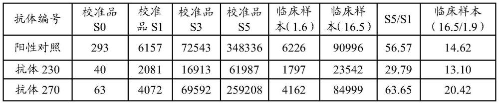 C肽重组兔单克隆抗体、制备方法及其应用与流程