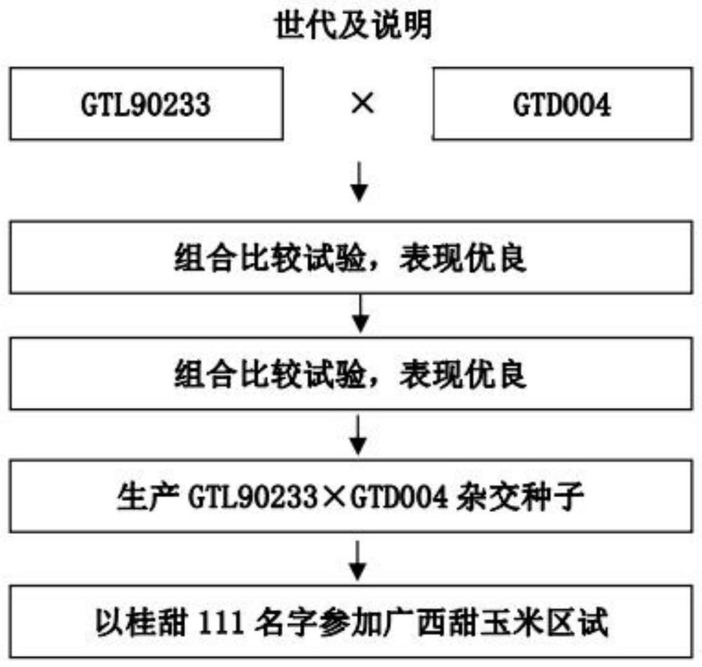 一种新高糖甜玉米的选育方法