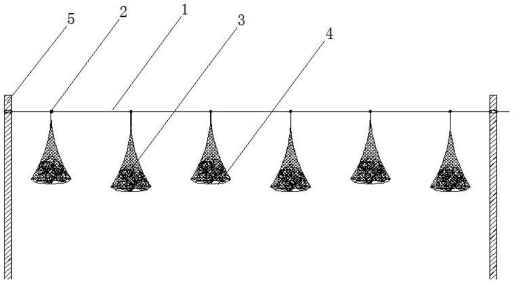 一种杆线式蚌类吊养模式结构的制作方法