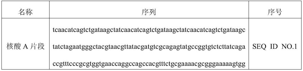 一种基于跨膜多肽的近红外成像miRNA的报告基因探针及其构建方法和应用