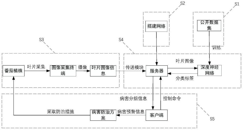 基于深度学习的番茄病虫害检测装置与方法与流程