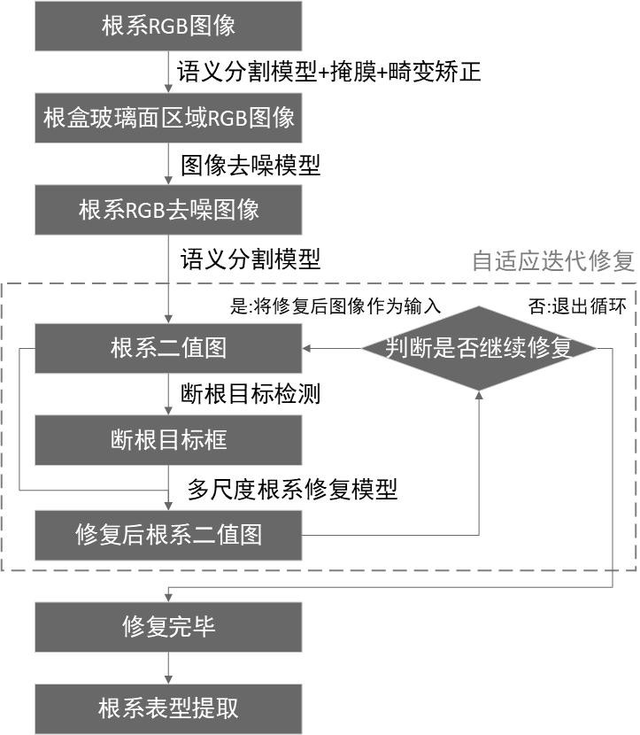 一种根盒培养作物根系图像断根修复及表型提取方法