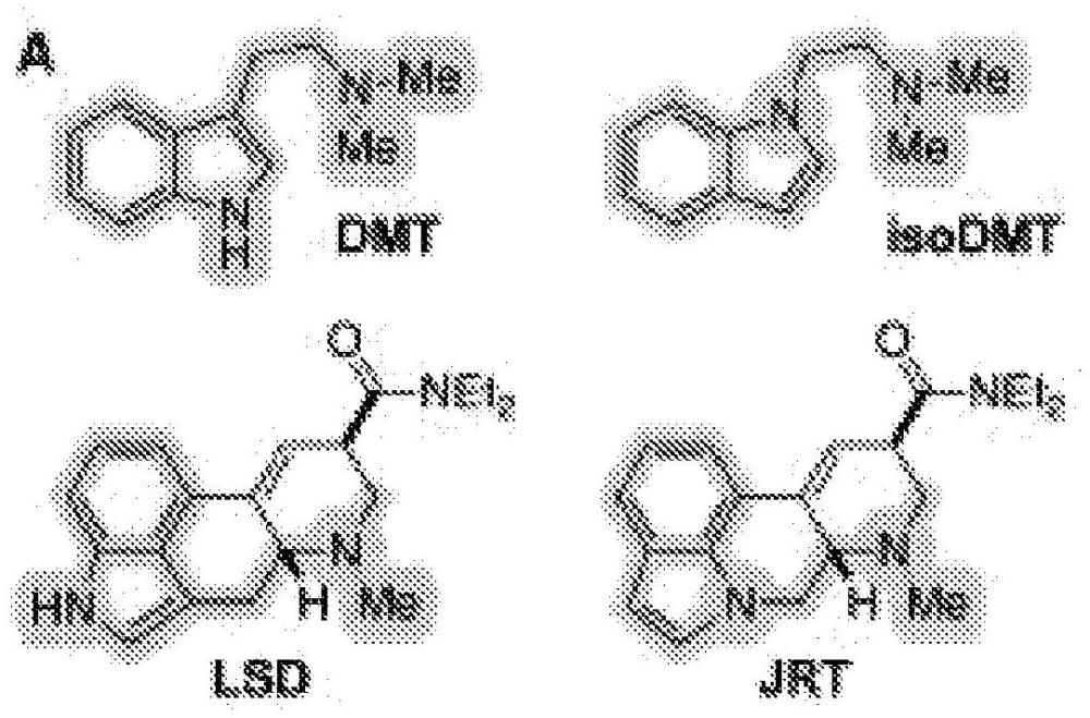 用于治疗脑病症的四环化合物