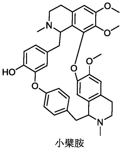 小檗胺衍生物及其制备方法和在抗病毒以及治疗白细胞减少症方面的应用