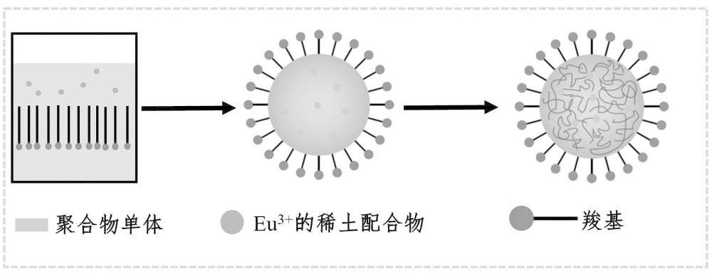 一种稀土配合物荧光微球、制备方法及其应用