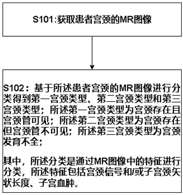 一种基于MRI的先天性宫颈畸形分类方法、系统及设备