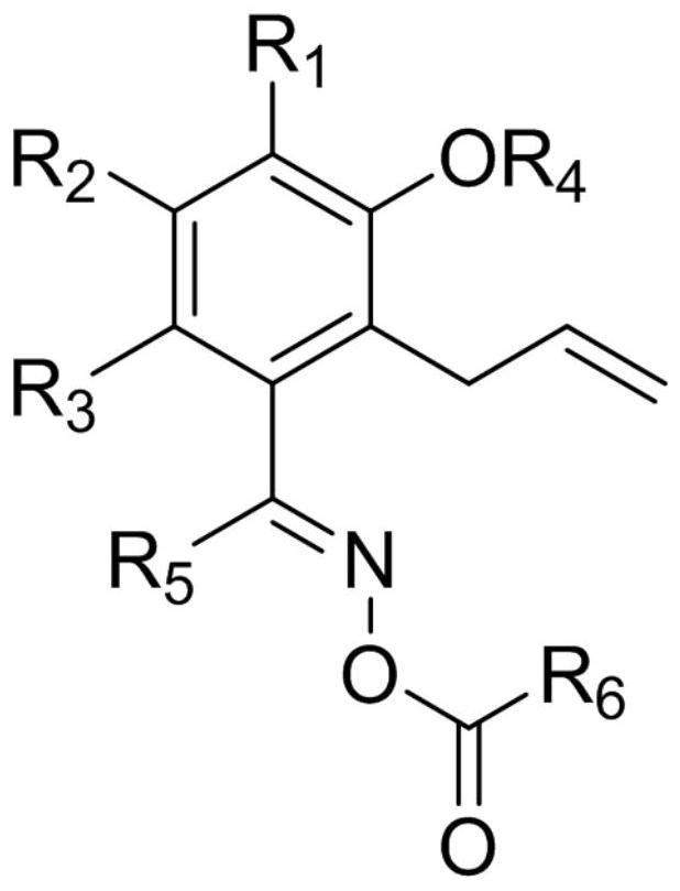 邻烯丙基肟酯类光引发剂型化合物及其制备方法和应用