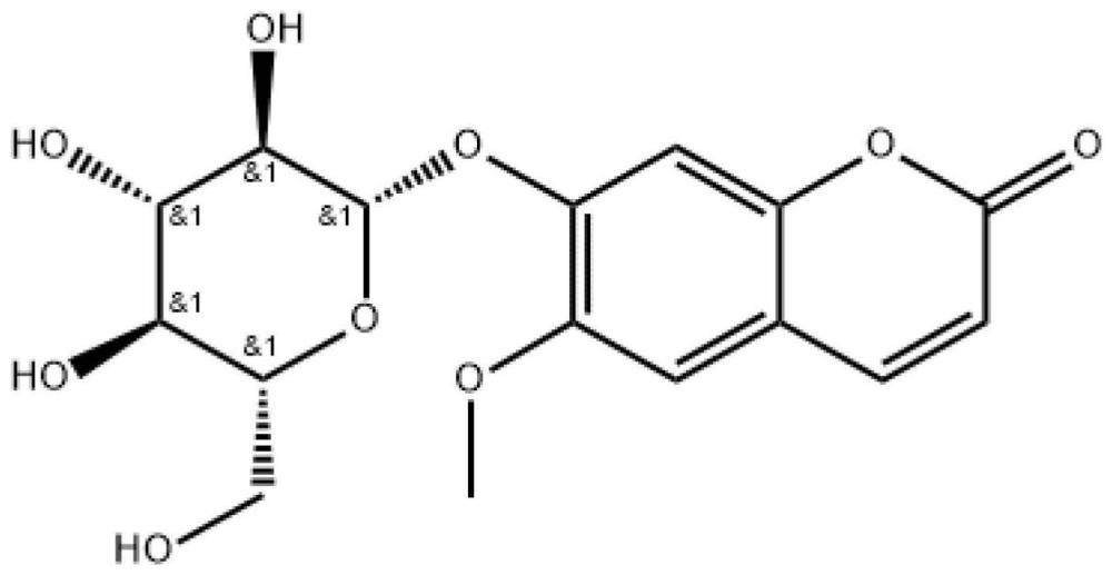 从青蒿叶中提取东莨菪苷的方法与流程