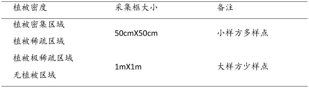 一种快速、准确判别种子雨植物种类和数量的方法