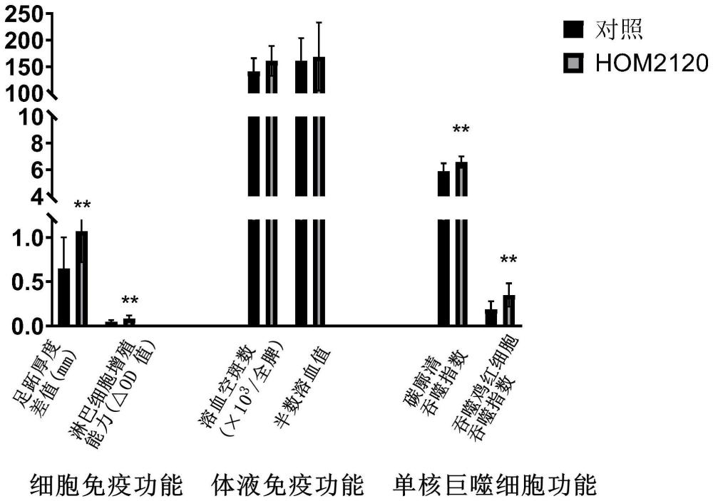 一种动物双歧杆菌菌株及其制备方法和用途与流程