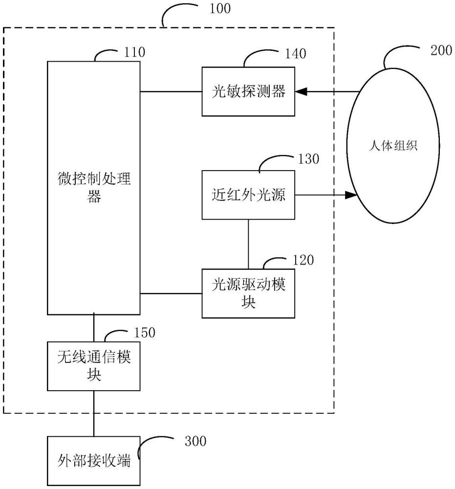 一种检测血液动力学参数的光学探头