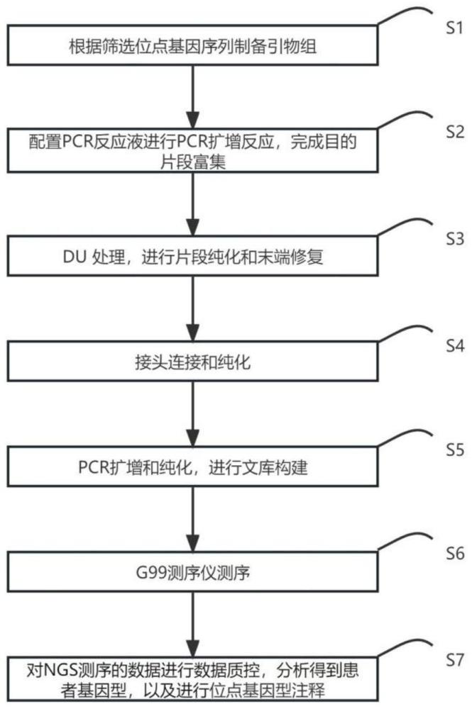 一种慢病治疗药物相关基因的检测方法及分析装置与流程