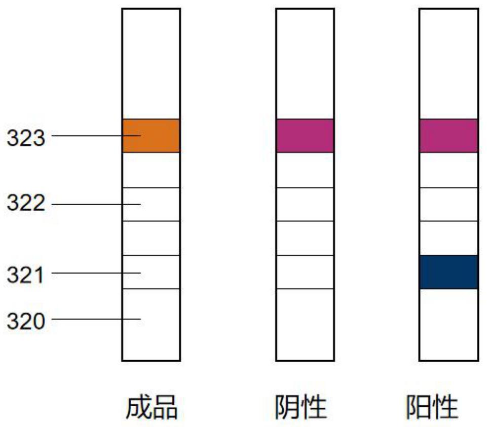 过氧化氢快速检测试剂盒及使用方法与流程