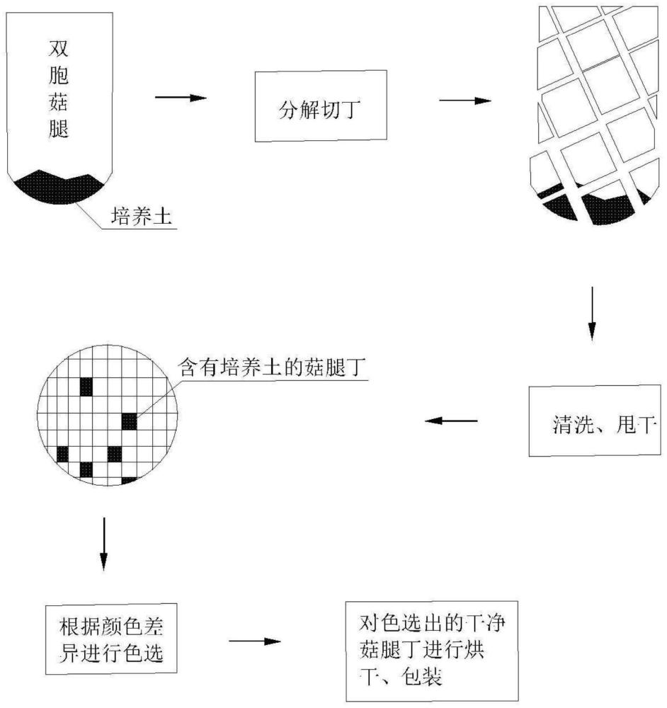 一种双孢菇废弃菇腿再利用的加工方法与流程