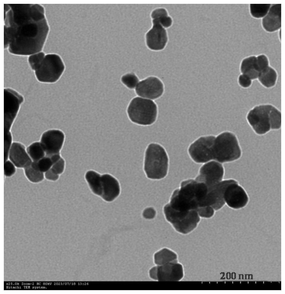 壳聚糖-氧化锌纳米复合材料及其制备方法和应用