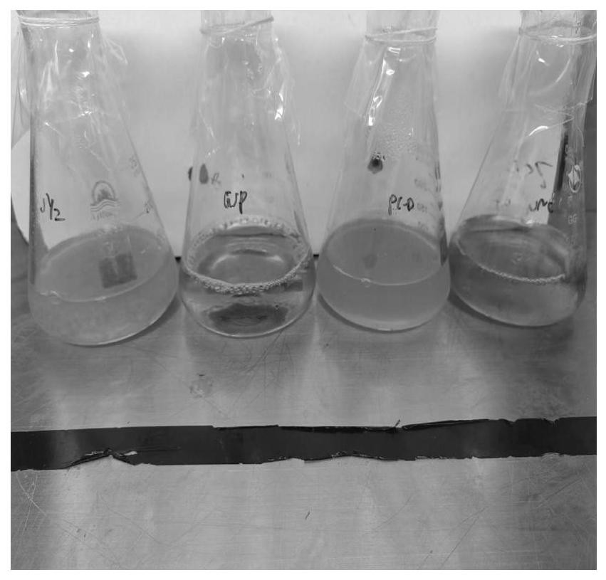 一种罗红霉素原料药微生物限度检查方法与流程