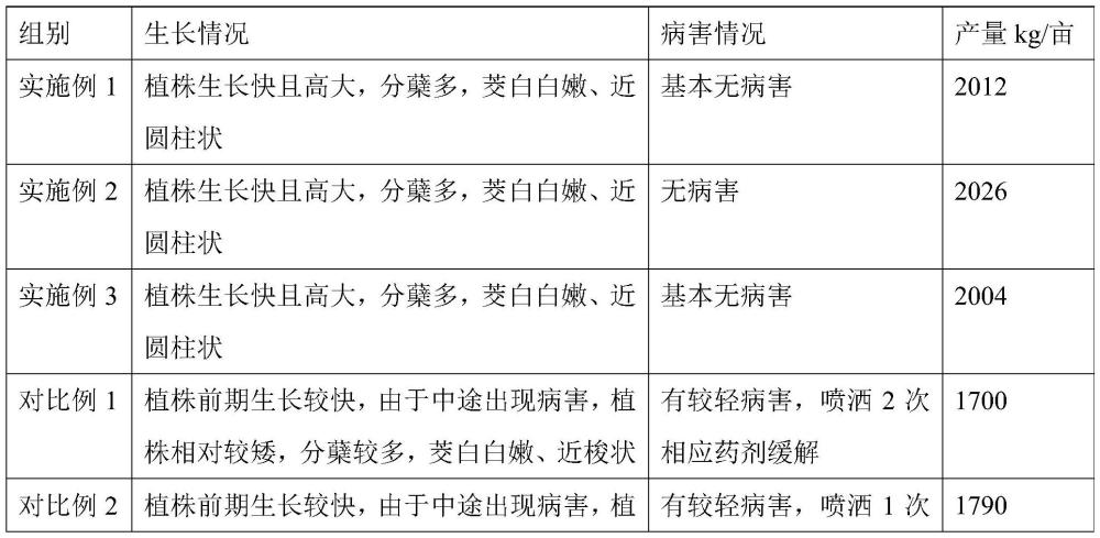 一种茭白连作栽培方法与流程