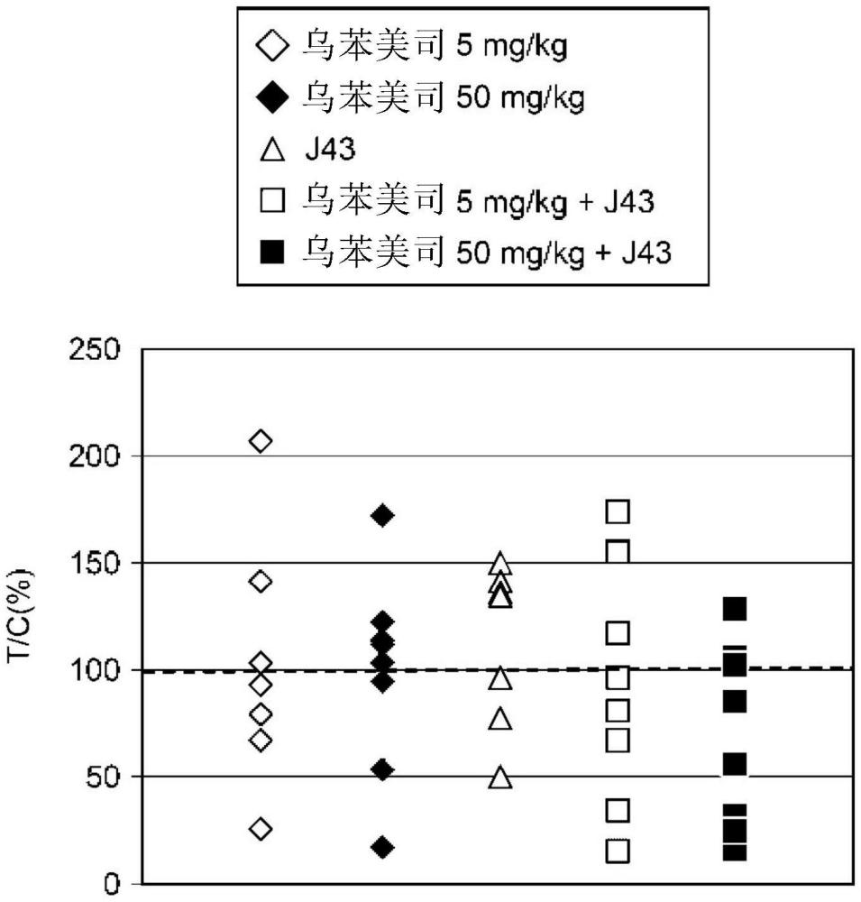 乌苯美司与免疫检查点抑制剂的并用的制作方法