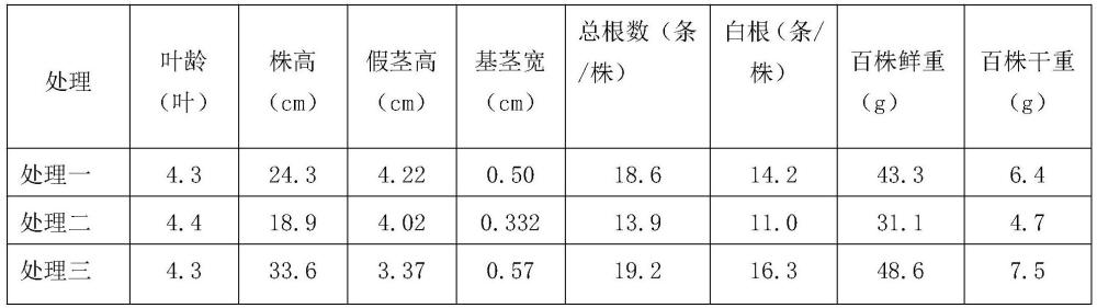 一种水稻苗床调理剂及其制备方法与流程