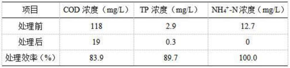 一种反硝化聚磷菌微生物制剂的制备方法及应用