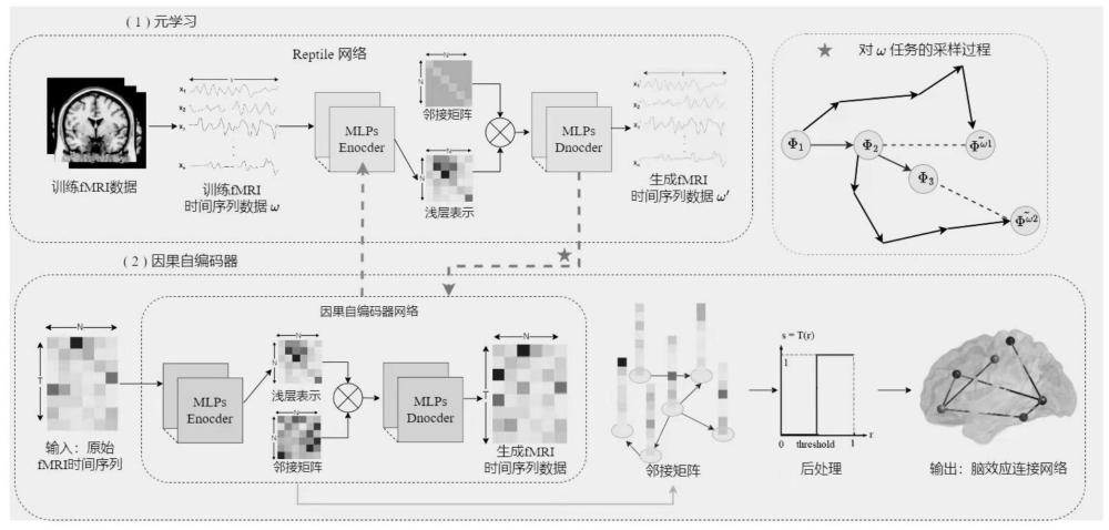 一种基于因果自编码器与元学习的脑效应连接学习方法