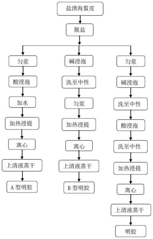 一种利用海蜇制备明胶的方法与流程