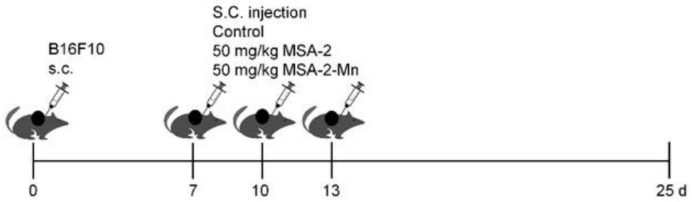 STING激动剂MSA-2的锰盐合成和肿瘤治疗应用