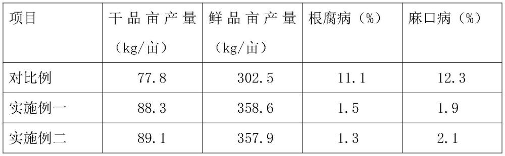 一种山坡地种植中药材当归的方法