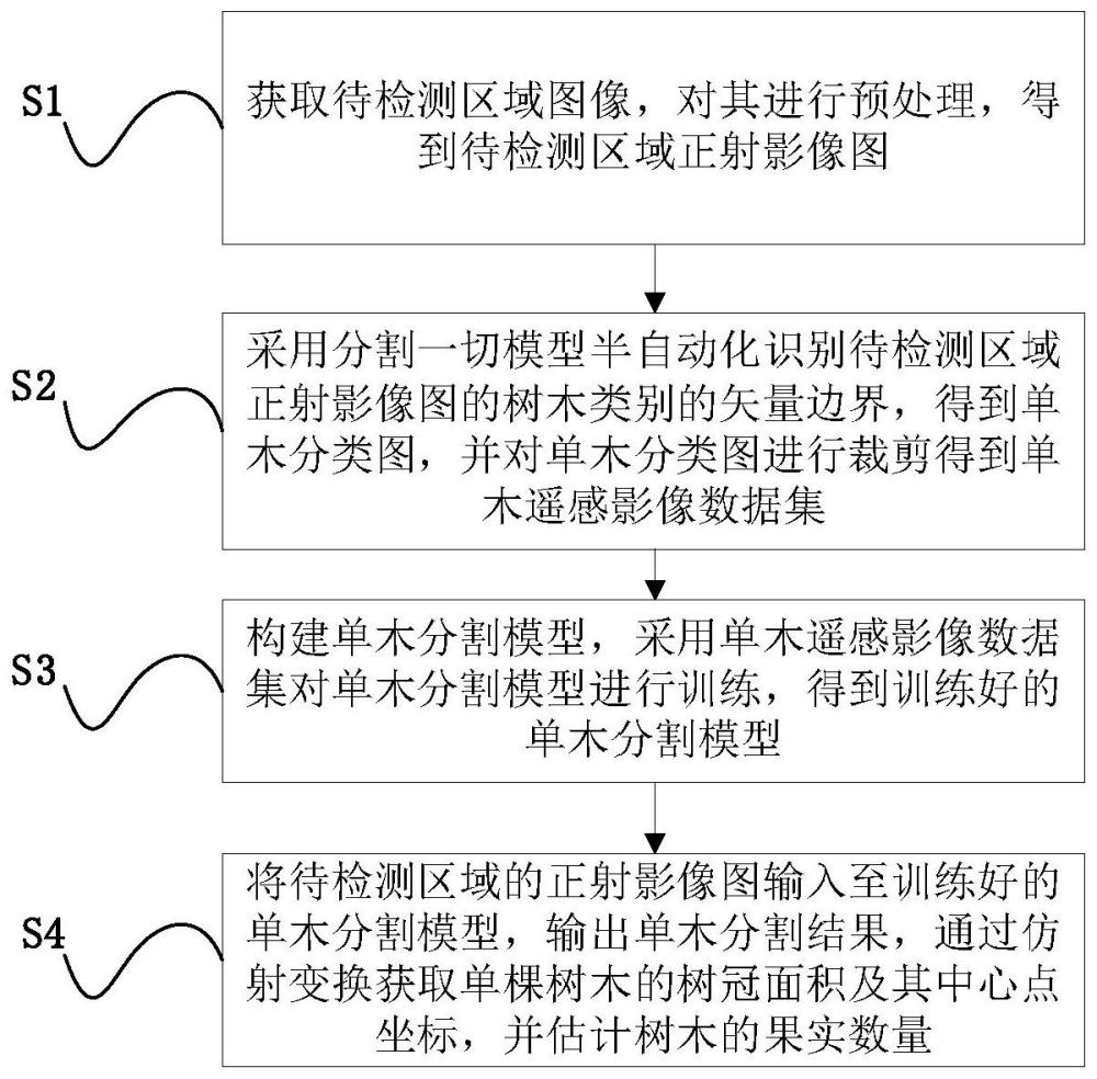 一种基于多尺度密集实例检测的单木果树分割方法与系统与流程