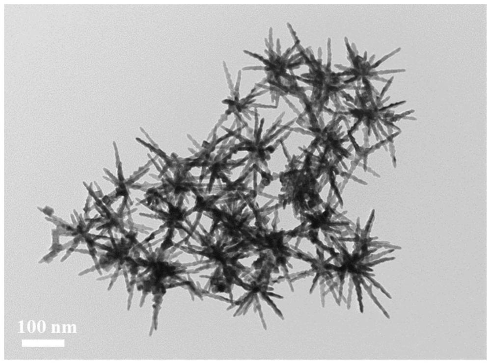 一种在金属表面直接生长超精细铱纳米颗粒的制备方法、结构与应用