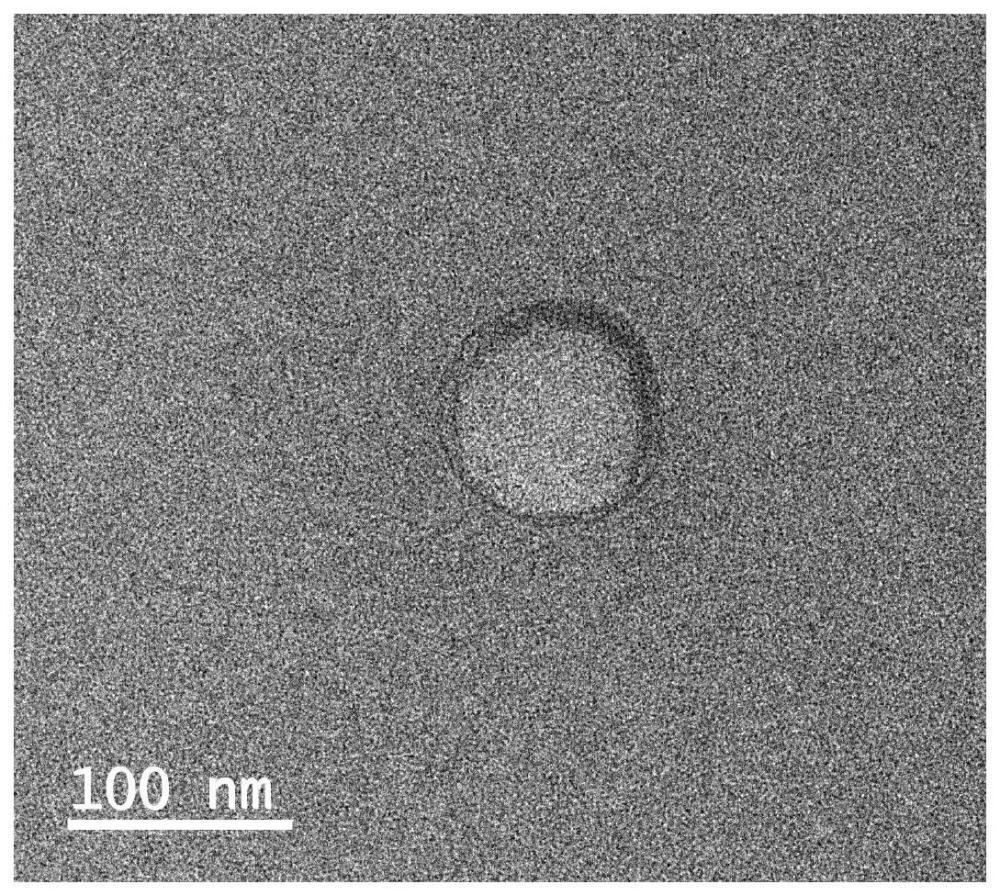 一种视黄醇衍生物超分子微脂囊、其制备方法及应用与流程