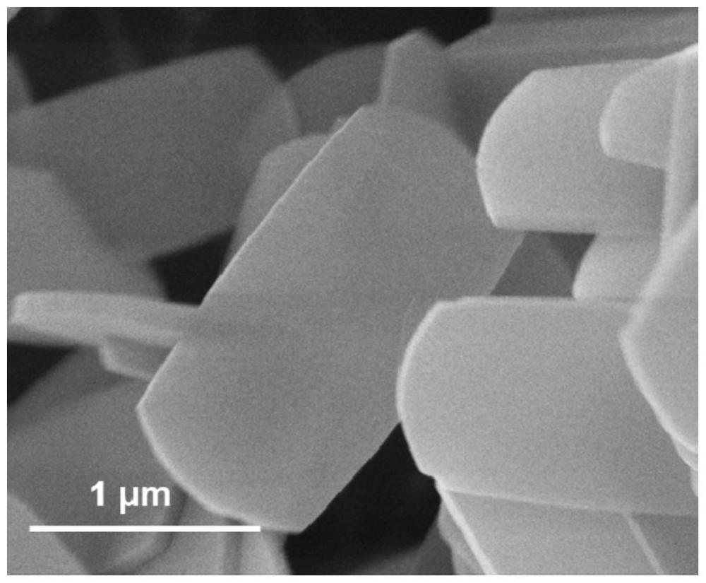 一种薄板分子筛封装金属型催化剂、其制备方法及用途