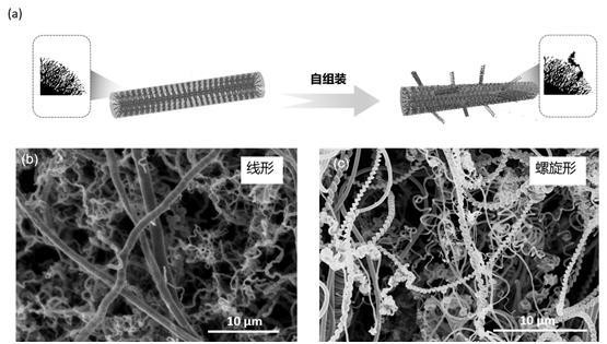 一种基于碳纳米纤维网络状类锥形纳米反应器自组装环糊精纤维的方法